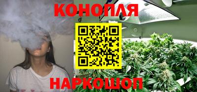дживик Ирбит