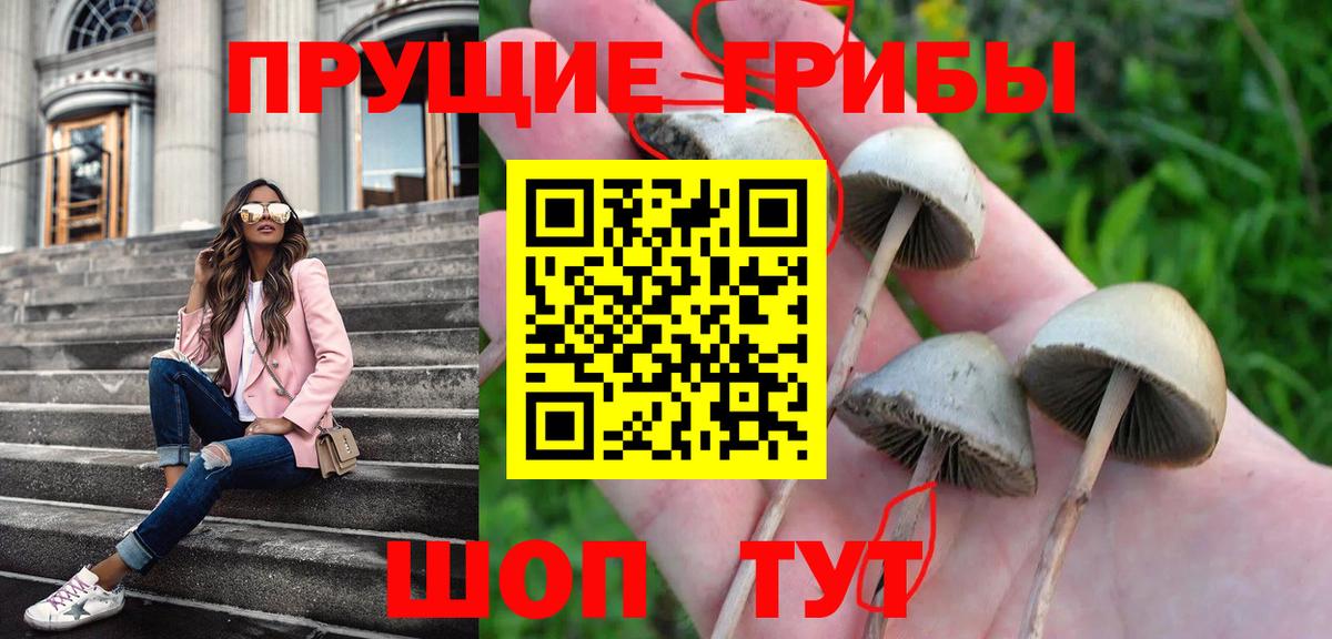 Псилоцибиновые грибы Psilocybine cubensis Кумертау