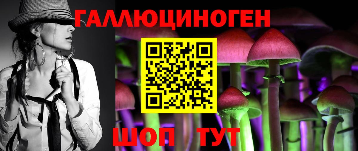 Псилоцибиновые грибы GOLDEN TEACHER  Вход с VPN  Кумертау 
